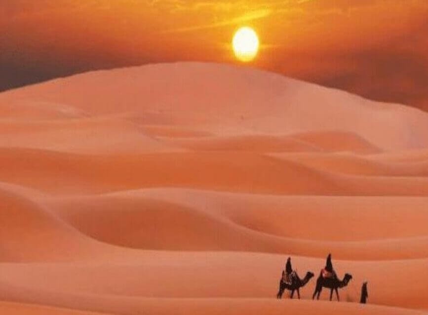 MAJORELLE DESERT