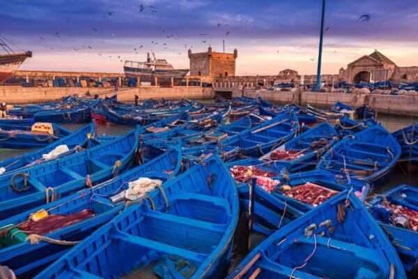 56e4a8e265a1f7a3a246b85bcf88d672-essaouira-scaled-600×0