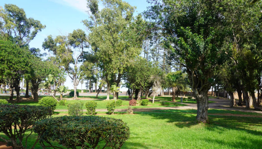 DSC00130