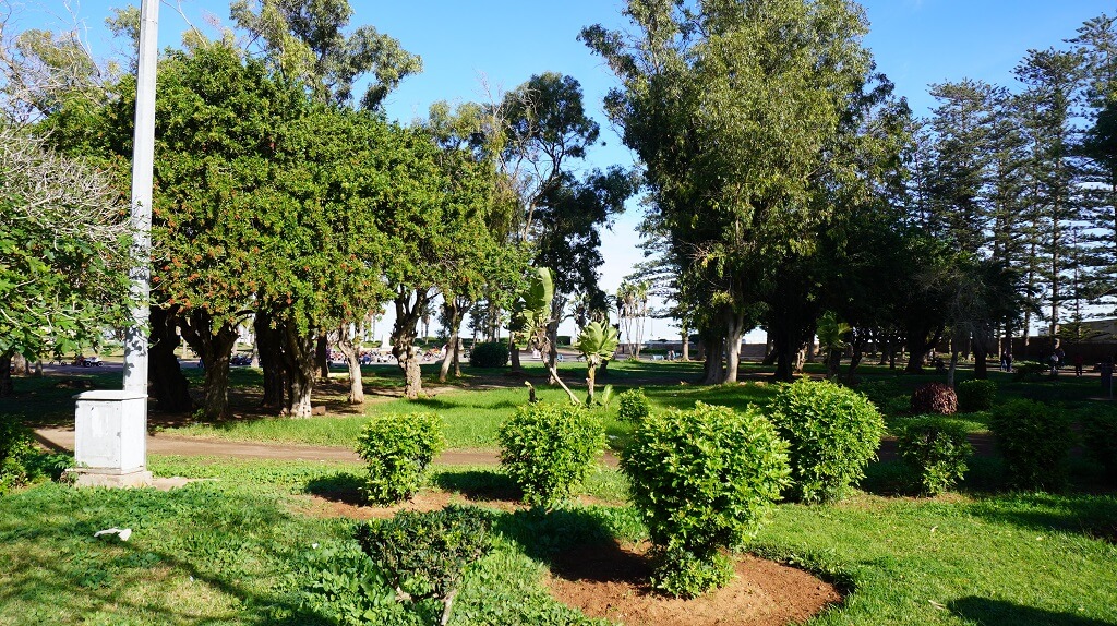 DSC00424