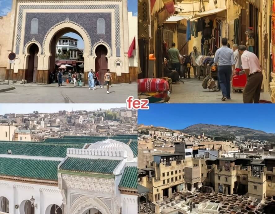 fez