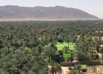 Villes du Maroc : Figuig