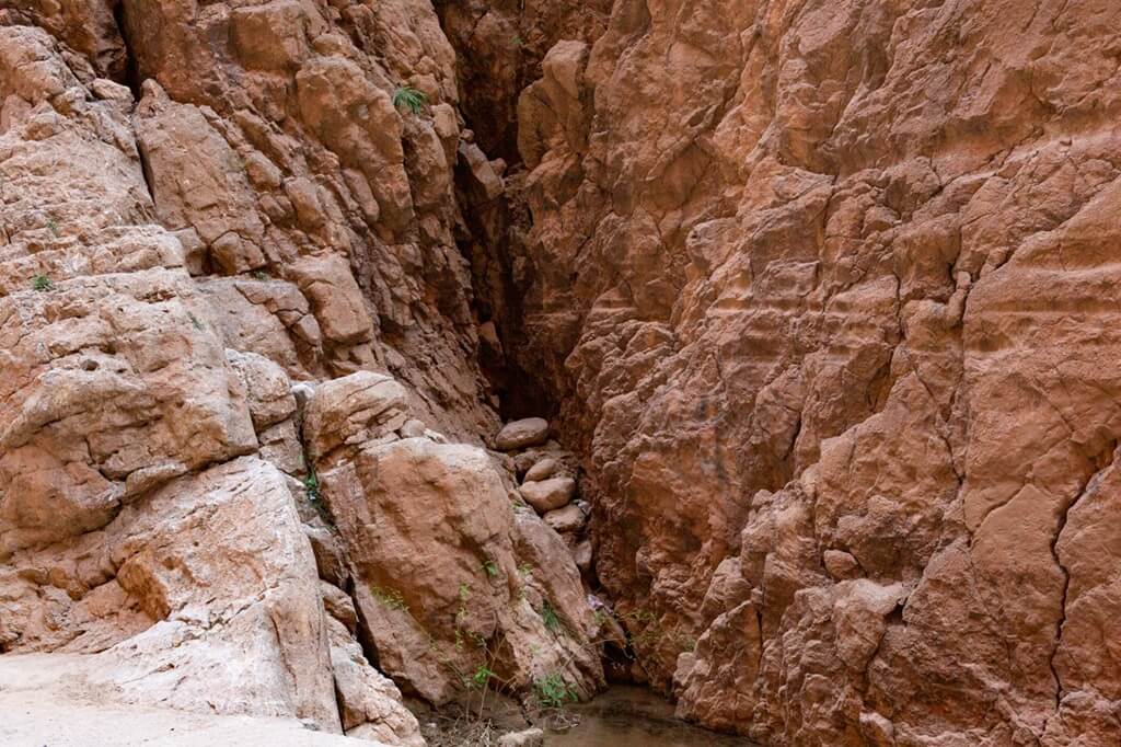 gorges todgha